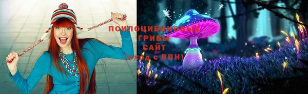 соль ск Новозыбков