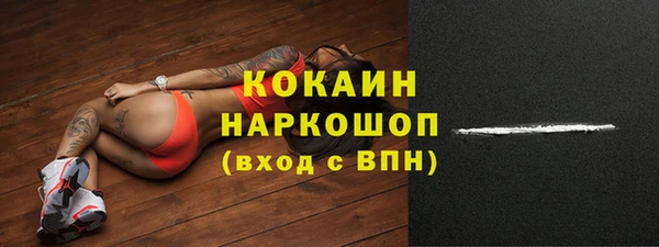 дмт Нея