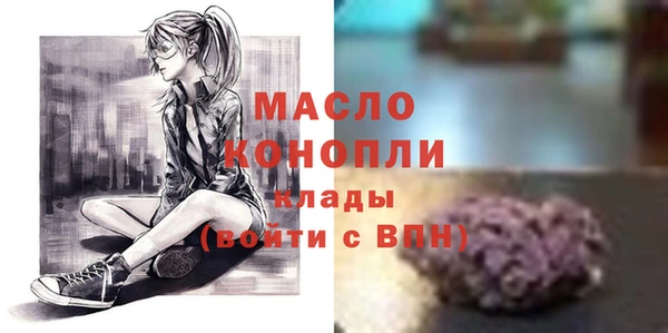 соль ск Новозыбков
