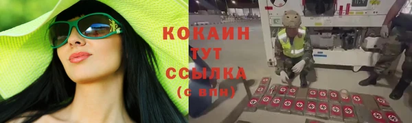 дмт Нея