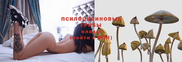 дмт Нея