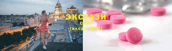 соль ск Новозыбков