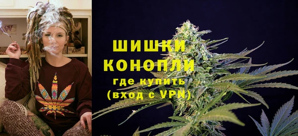 соль ск Новозыбков