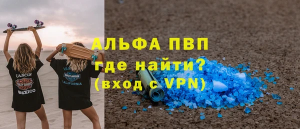 спайс Богданович