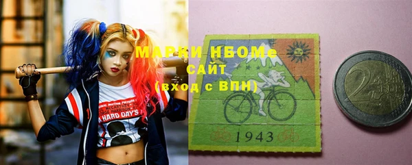 соль ск Новозыбков