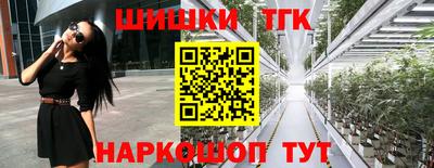 крисы Берёзовский