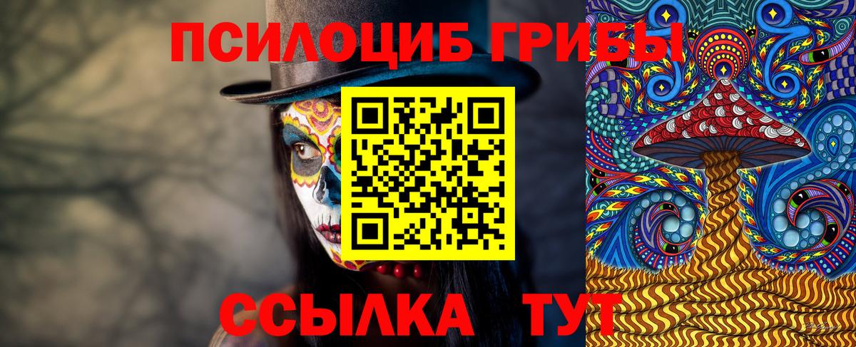 Псилоцибиновые грибы Cubensis Чебоксары