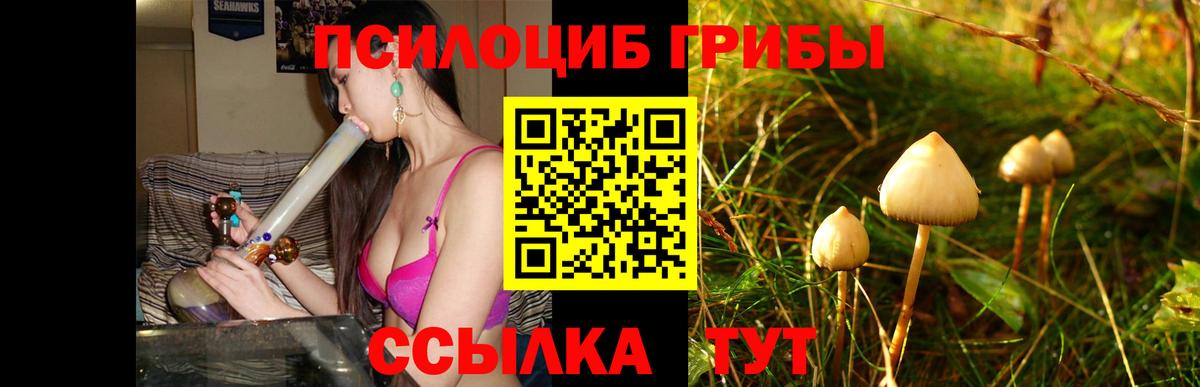 Галлюциногенные грибы Magic Shrooms  купить наркоту  Чебоксары 